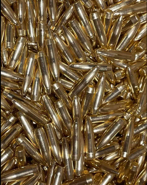 RMR .224 75 Grain BTHP